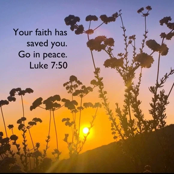 NWOT L'AGENCE Selma High Rise Sleek Baby Boot Jeans Blanc Size 25 Revolve $255 - Picture 13 of 14